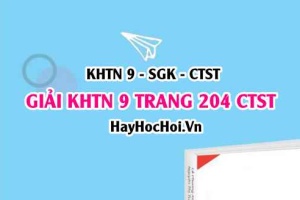 Giải KHTN 9 trang 204 Chân trời sáng tạo SGK
